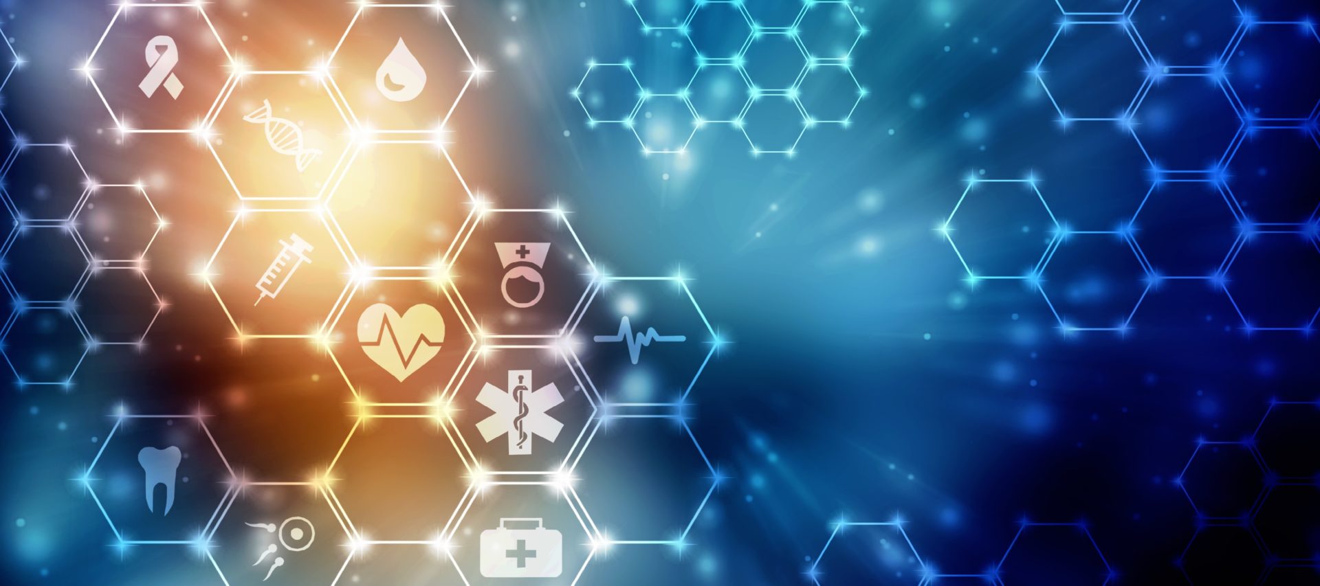 CPT Search Utility Tool Accudata Service, Inc.